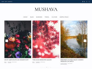 Mushava Minimal Blog WordPress Theme