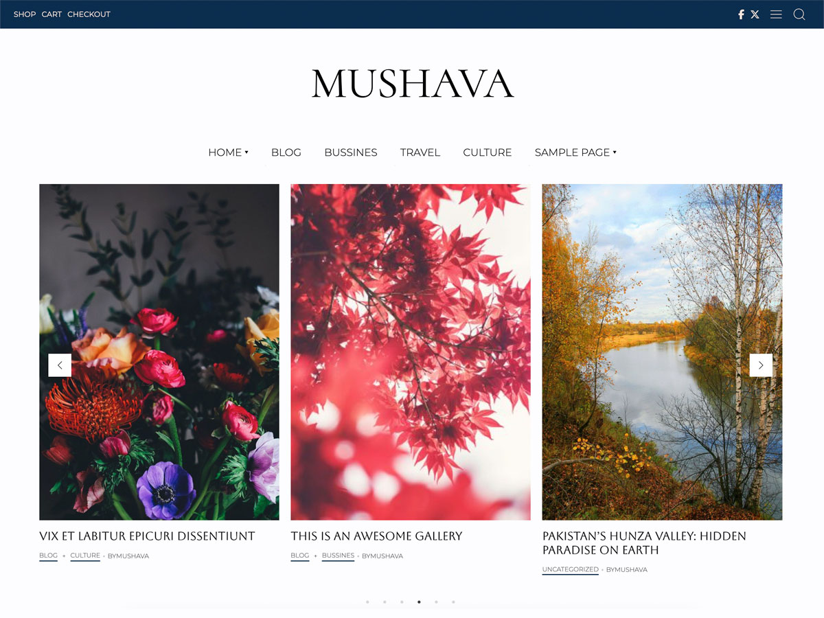 Mushava Minimal Blog WordPress Theme